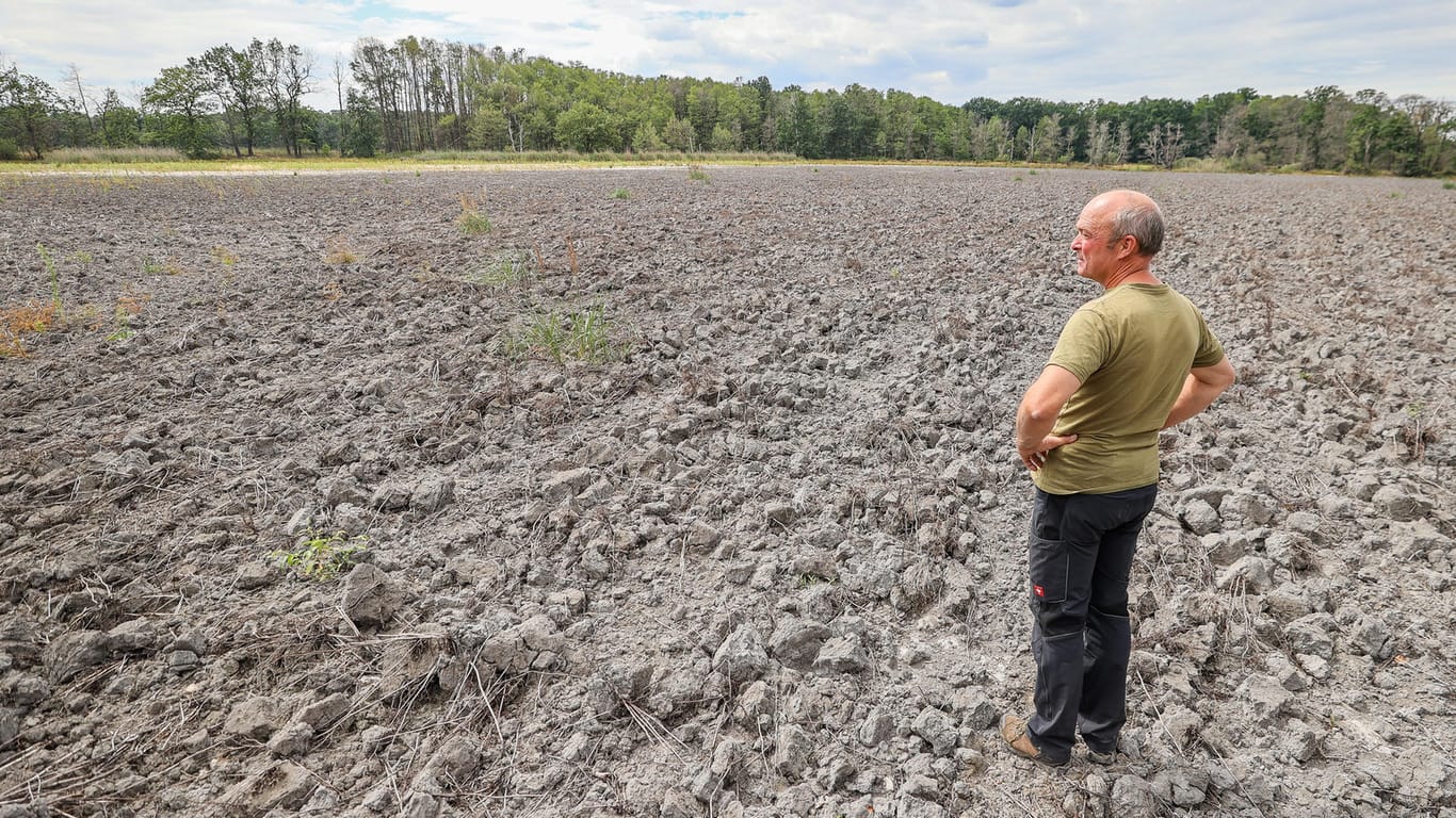 Ein Mitarbeiter einer Teichwirtschaft steht im ausgetrockneten Königsteich in Sachsen: Vielerorts macht sich Wasserknappheit bemerkbar.