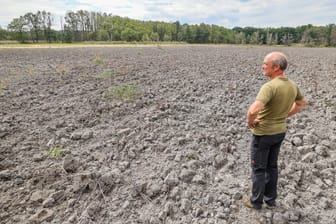 Ein Mitarbeiter einer Teichwirtschaft steht im ausgetrockneten Königsteich in Sachsen: Vielerorts macht sich Wasserknappheit bemerkbar.