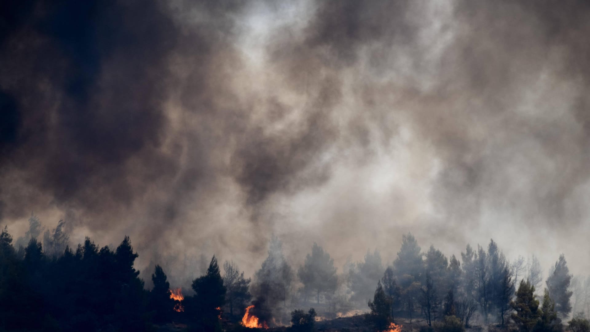 Rauch über einem Waldbrand (Symbolbild): Bei Frankfurt hat ein Wald gebrannt, es kam zu einer Explosion.