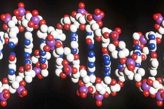 Ein Modell eines menschlichen DNA-Stranges: Wegen Excel mussten Forscher Gene umbenennen.