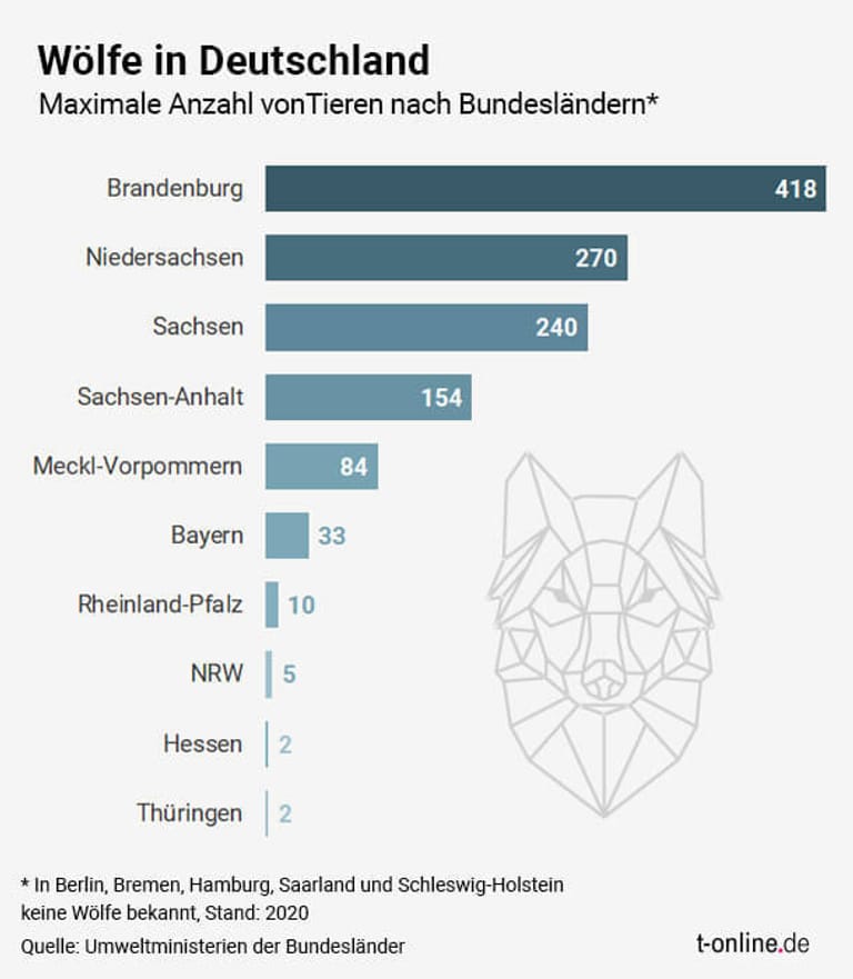 Wölfe verursachen in Deutschland mehr Schäden als je zuvor