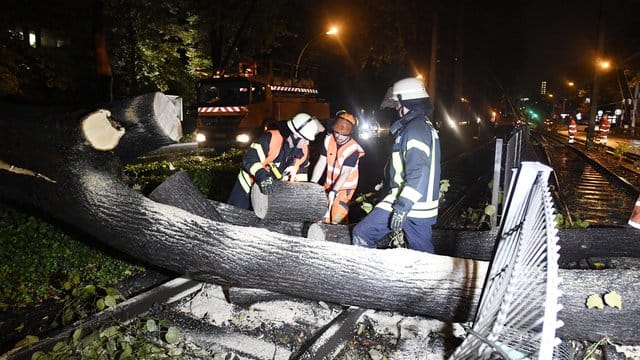 Aufräumarbeiten nach Unwetter in Bonn Aufräumarbeiten nach Unwetter in Bonn