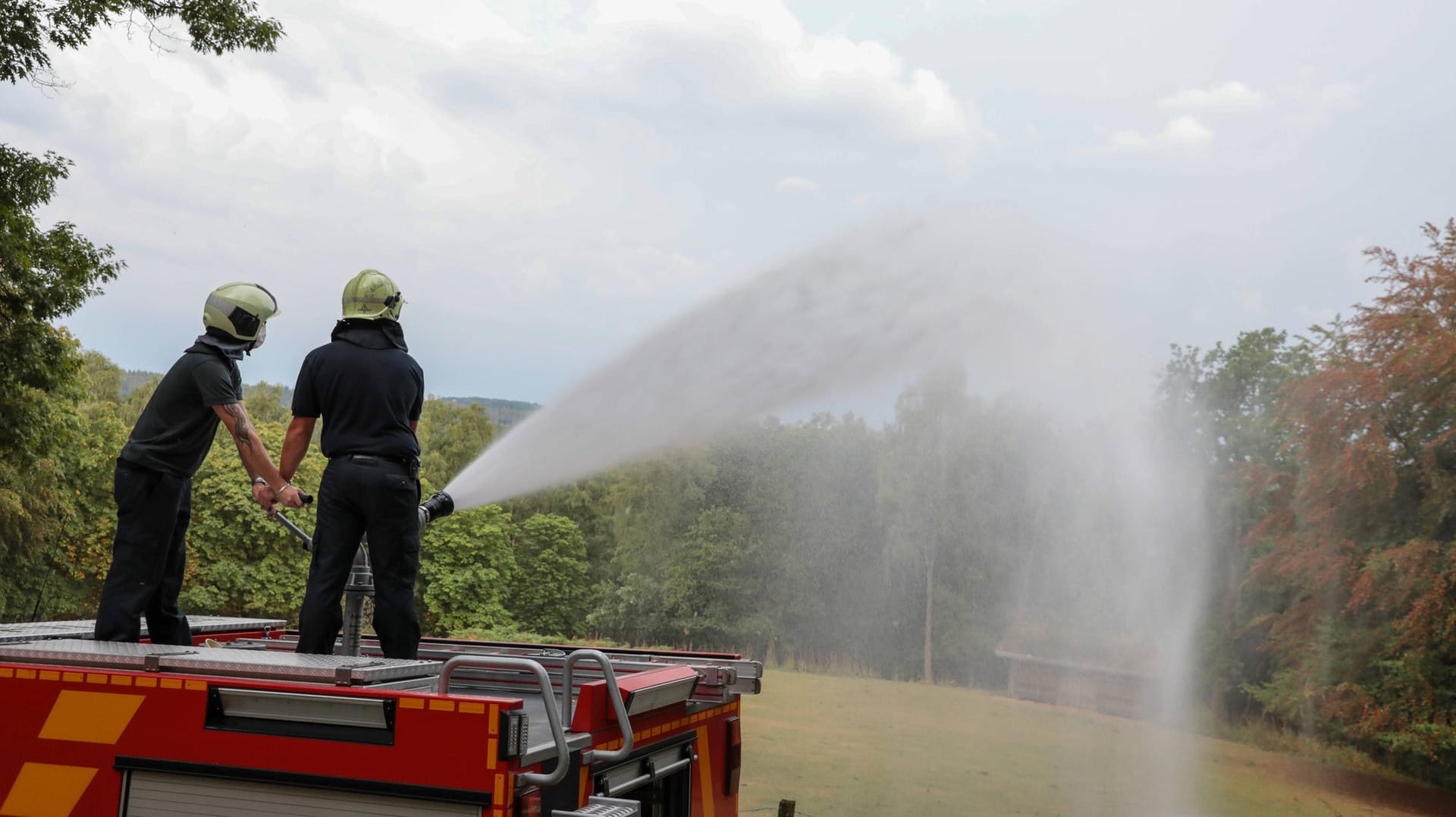 Die Feuerwehr wässert Straßenbäume in Wuppertal: Wegen der großen Hitze benötigen die Bäume dringend Wasser. Die Feuerwehr wässert Straßenbäume in Wuppertal: Wegen der großen Hitze benötigen die Bäume dringend Wasser.