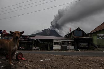 Vulkan Sinabung auf der Insel Sumatra: Eine Aschesäule stieg am Montag aus dem Krater mehr als sieben Kilometer in den Himmel.