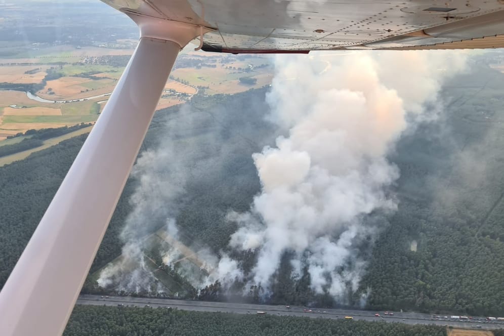 Dichte Rauchwolken steigen über dem Waldgebiet auf: 500 Einsatzkräfte waren an der Löschung des Brandes beteiligt.