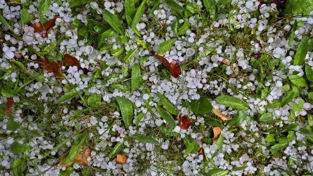 Hagelkörner liegen in einem Garten auf dem Rasen