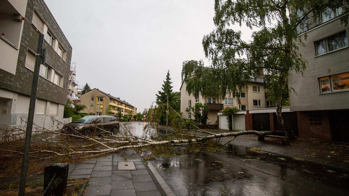 Schweres Unwetter in Bonn: Mitte August richtete ein Unwetter in Nordrhein-Westfalen heftige Schäden an.