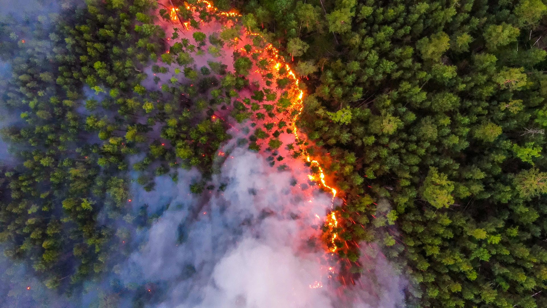 Ein Waldbrand in der Region Krasnojarsk: In Sibirien gab es im Juli extreme Hitzewellen.