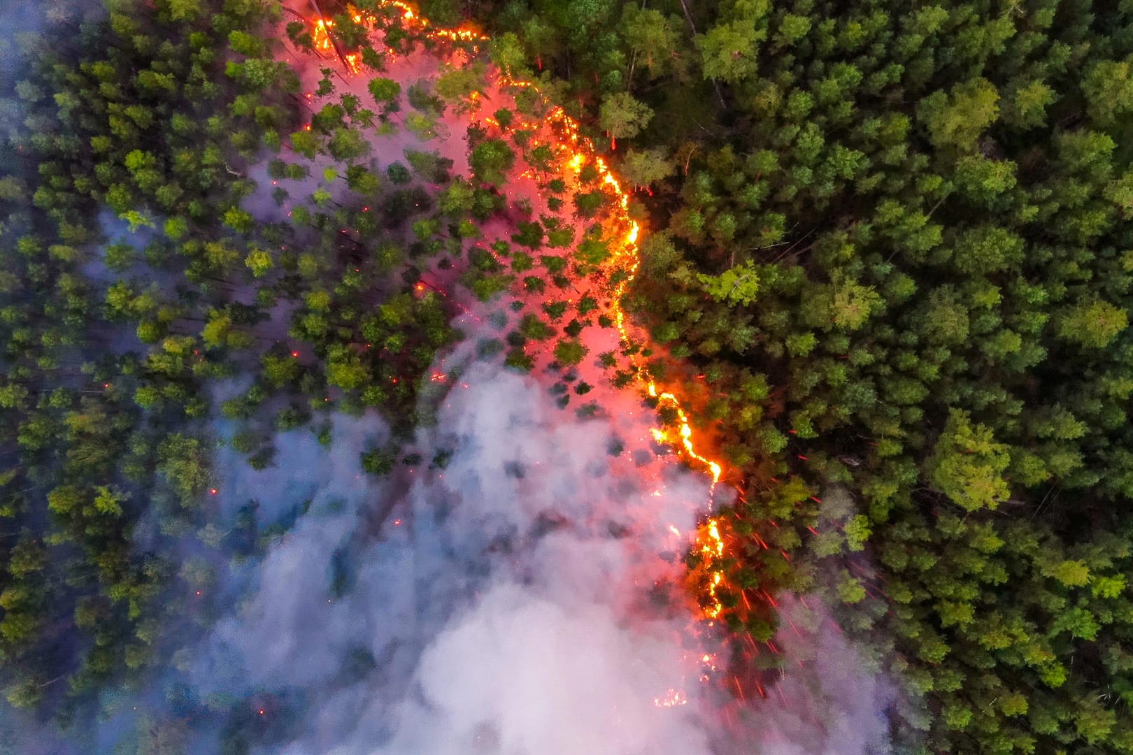 Ein Waldbrand in der Region Krasnojarsk: In Sibirien gab es im Juli extreme Hitzewellen.