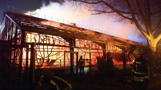 Feuerwehrleute stehen nach Löscharbeiten in der Nacht zu Neujahr vor dem Affenhaus im Krefelder Zoo. Feuerwehrleute stehen nach Löscharbeiten in der Nacht zu Neujahr vor dem Affenhaus im Krefelder Zoo.