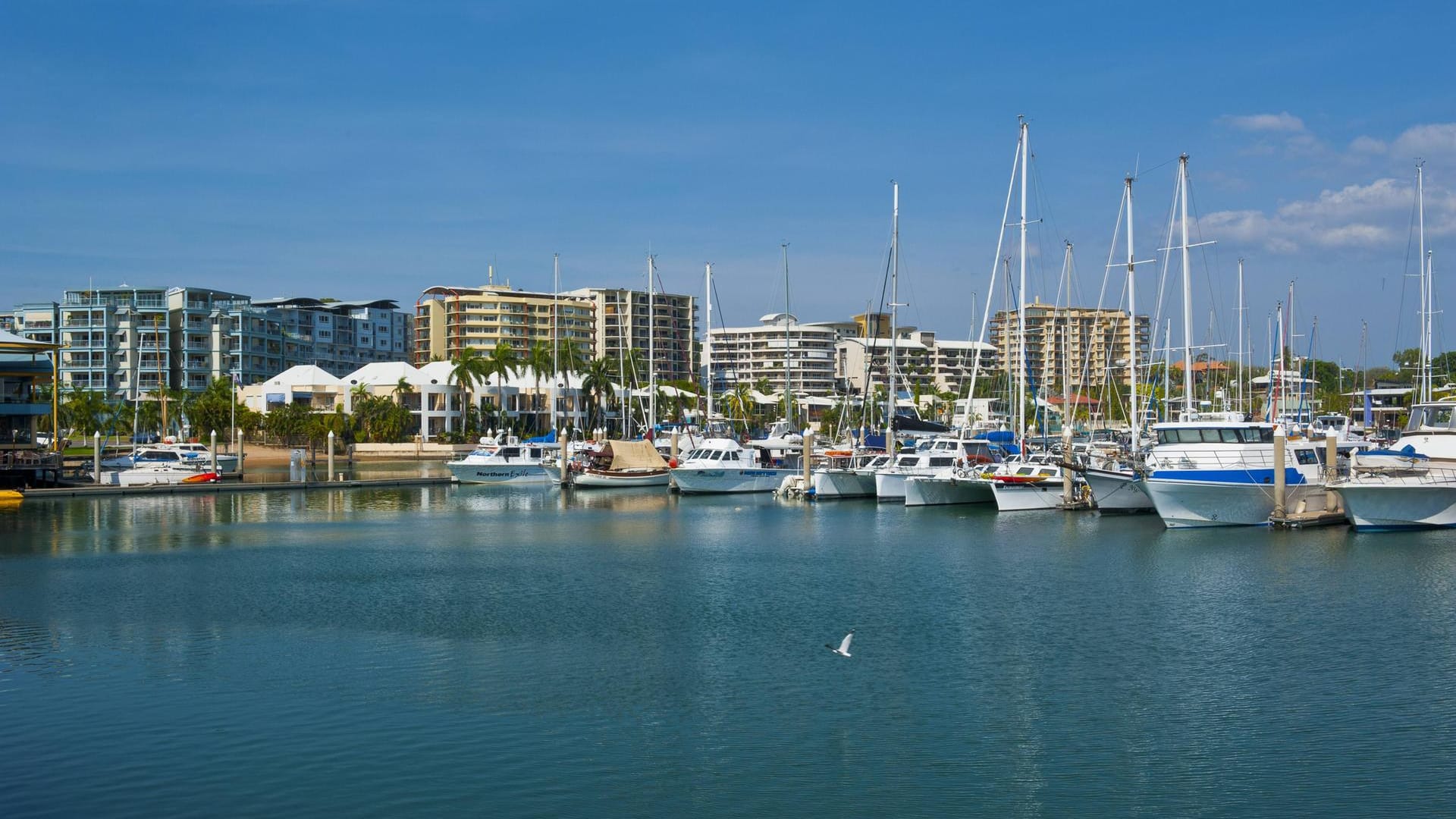 Hafen in Darwin: In der Stadt im Norden startete die Familie zu ihrem Angelausflug. Hafen in Darwin: In der Stadt im Norden startete die Familie zu ihrem Angelausflug.