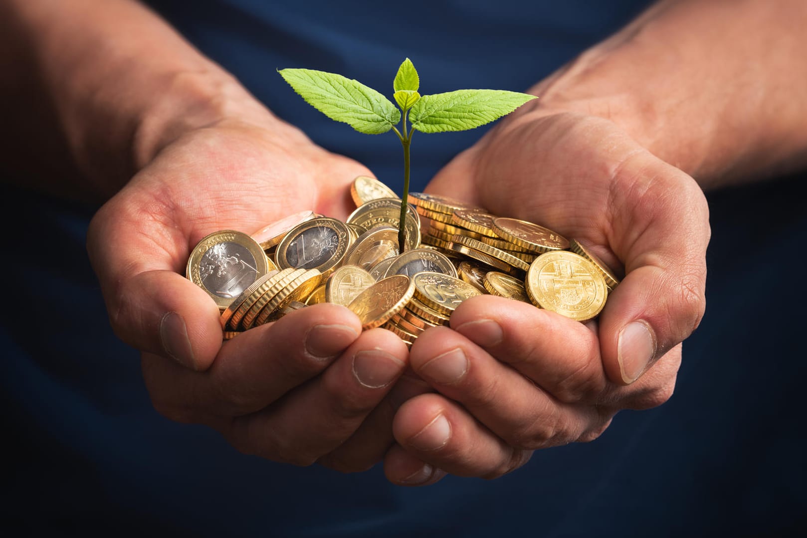 Eine Pflanze wächst aus Euro-Münzen, die ein Mann in Händen hält (Symbolbild): Auch die Art, wie Sie Ihr Geld anlegen, hat Folgen für das Klima. Eine Pflanze wächst aus Euro-Münzen, die ein Mann in Händen hält (Symbolbild): Auch die Art, wie Sie Ihr Geld anlegen, hat Folgen für das Klima.