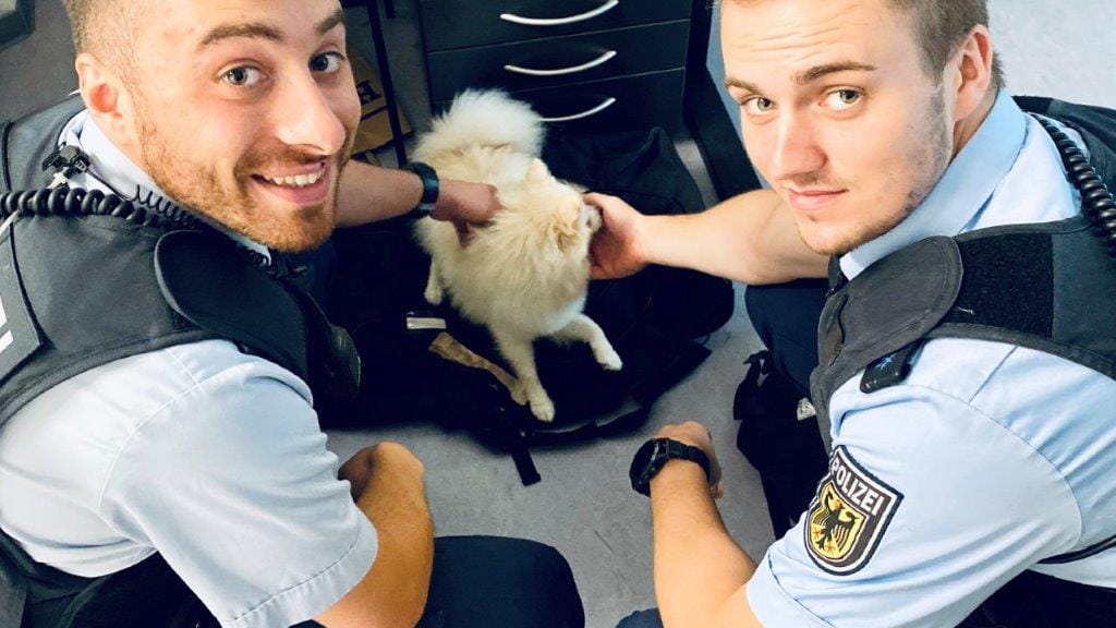Zwei Bundespolizisten mit dem gefundenen Hund: Das Tier fuhr allein mit der S-Bahn. Zwei Bundespolizisten mit dem gefundenen Hund: Das Tier fuhr allein mit der S-Bahn.