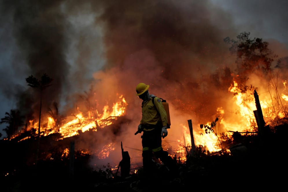 Zunehmende Waldbrände im Amazonasgebiet