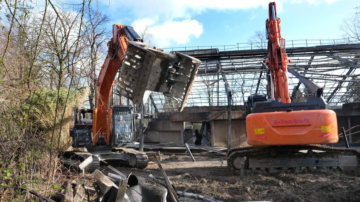 Abrissarbeiten am Affenhaus im Zoo Krefeld: Das Gebäude wurde beim Brand völlig zerstört.