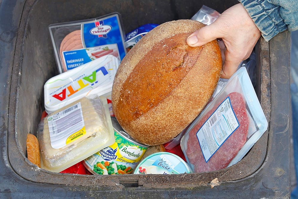 Containern: Besonders in den Mülltonnen der Supermärkte landen größtenteils Lebensmittel, die noch zum Verzehr geeignet sind.