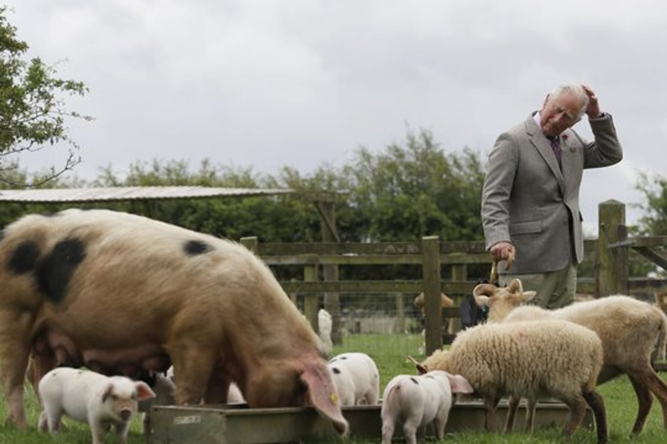 Prinz Charles ist in Großbritannien einer der Pioniere der ölologischen Landwirtschaft.