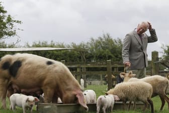 Prinz Charles ist in Großbritannien einer der Pioniere der ölologischen Landwirtschaft.