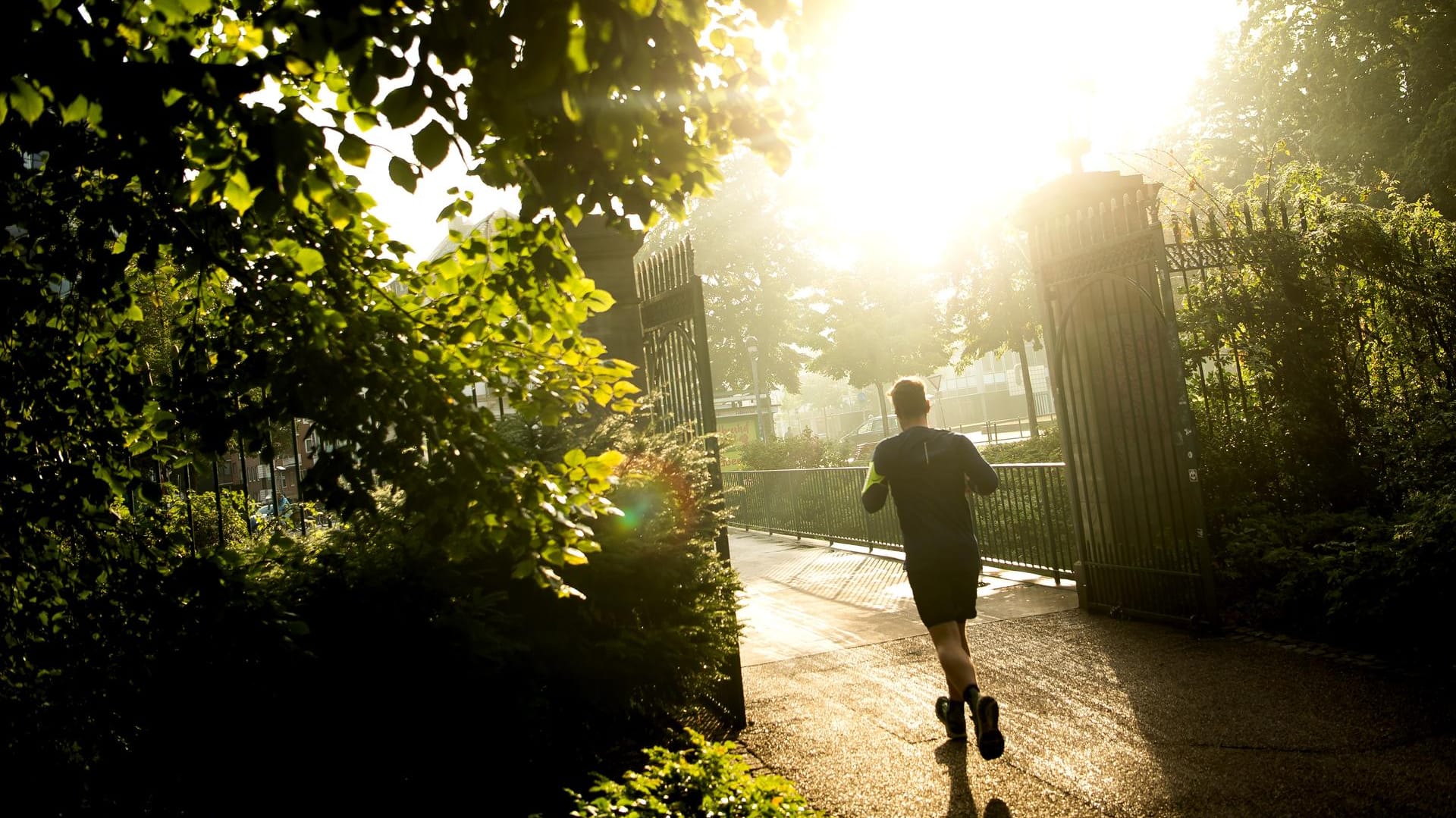 Bremen: Ein Jogger läuft am frühen Morgen durch die Wallanlagen.