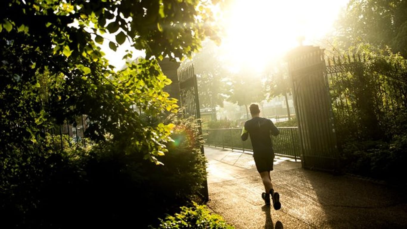 Laut Experten schüttet der Körper die meisten Glückshormone beim moderaten Laufen aus.