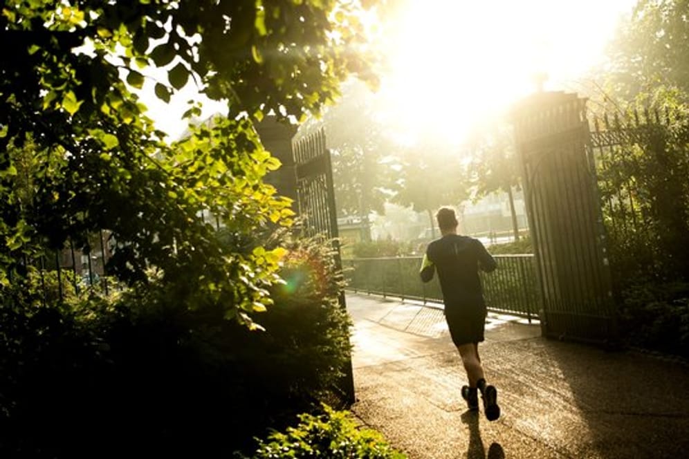 Laut Experten schüttet der Körper die meisten Glückshormone beim moderaten Laufen aus.