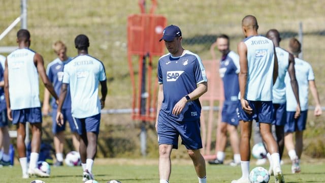 Sebastian Hoeneß (M) hat bei Hoffenheims Sportchef Rosen bislang einen guten Eindruck hinterlassen. Sebastian Hoeneß (M) hat bei Hoffenheims Sportchef Rosen bislang einen guten Eindruck hinterlassen.