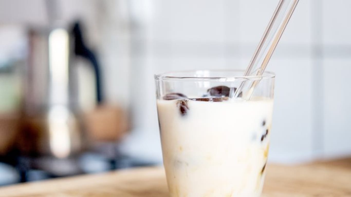 Schneller Eiskaffee-Genuss: Wer Kaffee in Eiswürfelform einfriert, muss ihn nur noch mit Milch aufgießen.