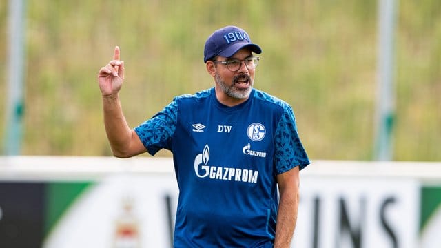 Reist mit reichlich Personal ins Trainingslager: Schalke-Coach David Wagner.