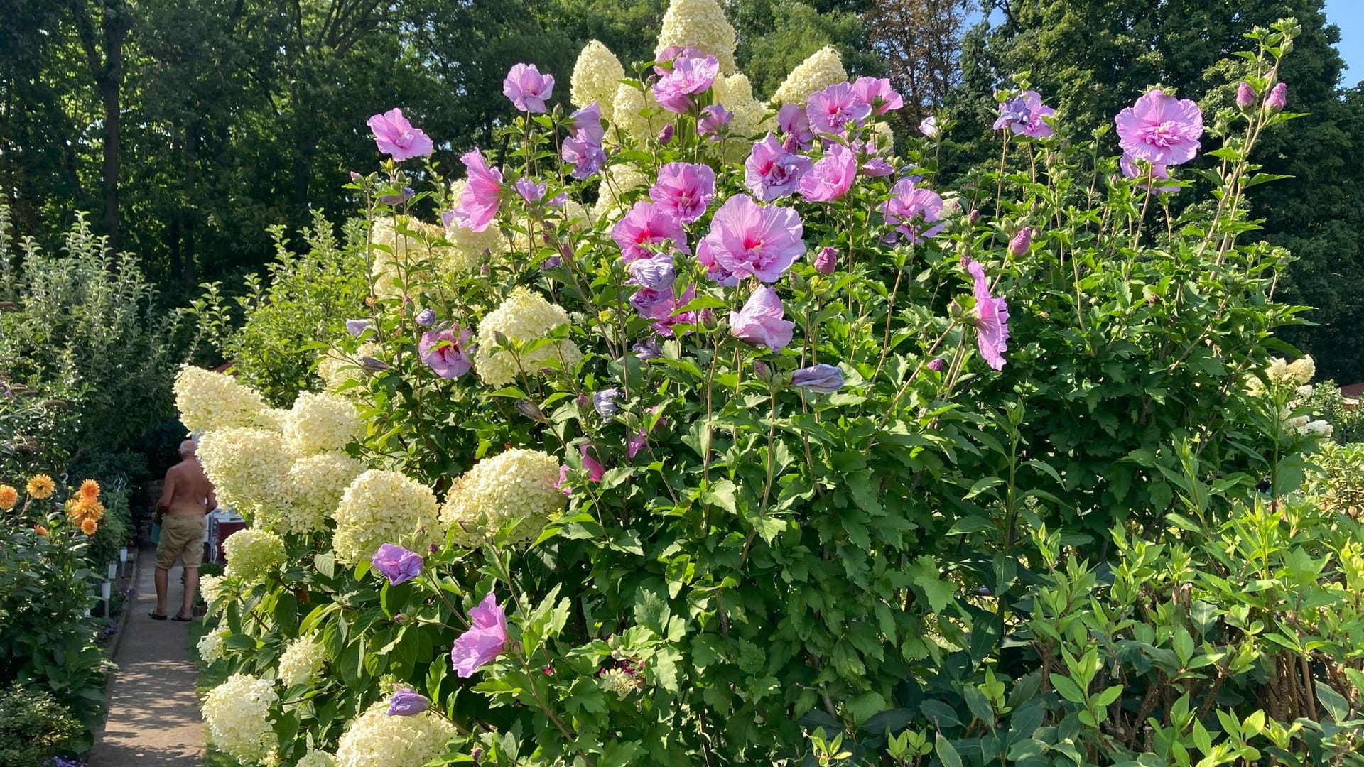 Blütenmeer: Blumen und Stauden sollten zu unterschiedlichen Jahreszeiten blühen.