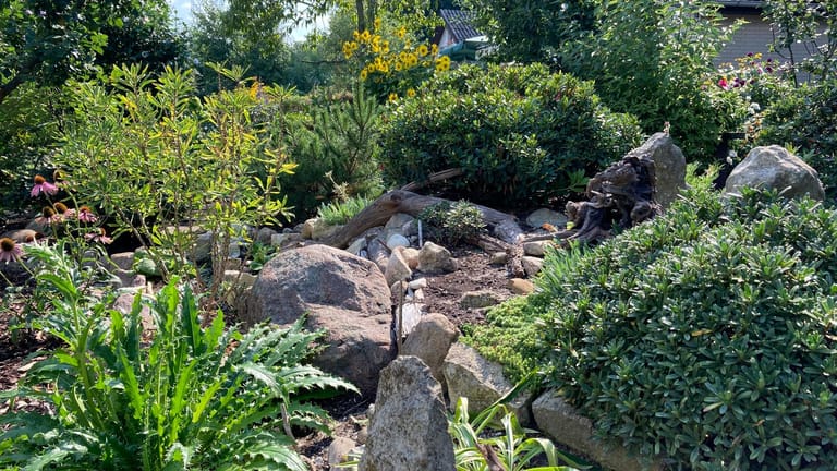 Gartengestaltung: Ein Steingarten verträgt auch längere Trockenperioden.