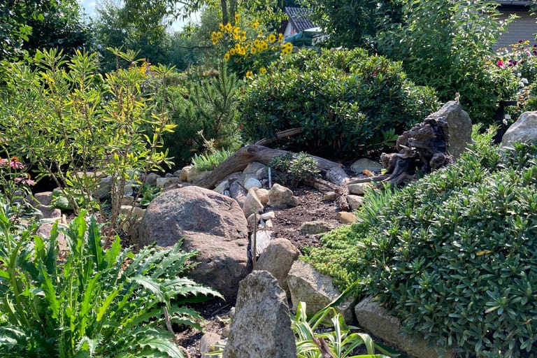 Gartengestaltung: Ein Steingarten verträgt auch längere Trockenperioden.