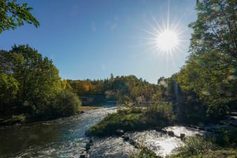 Der Fluss Weiße Elster im Leipziger Auwald am Teilungswehr Großzschocher: Trockenheit macht dem Auwald zu schaffen. Nun sollen Lösungen für das Problem erörtert werden.