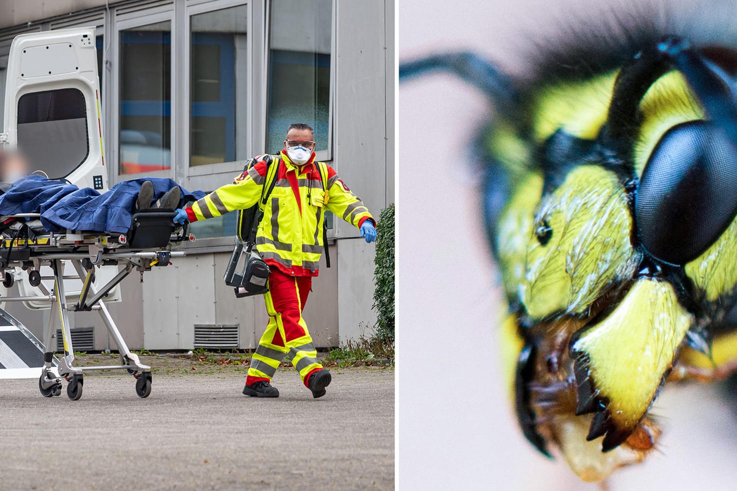 Rettungssanitäter versorgen auf dem Gelände einer Gesamtschule eine verletzte Person. Aggressive Wespen haben hier mindestens 14 Menschen verletzt.