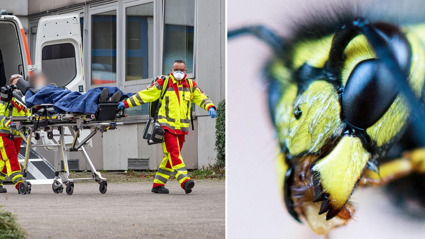 Rettungssanitäter versorgen auf dem Gelände einer Gesamtschule eine verletzte Person. Aggressive Wespen haben hier mindestens 14 Menschen verletzt.