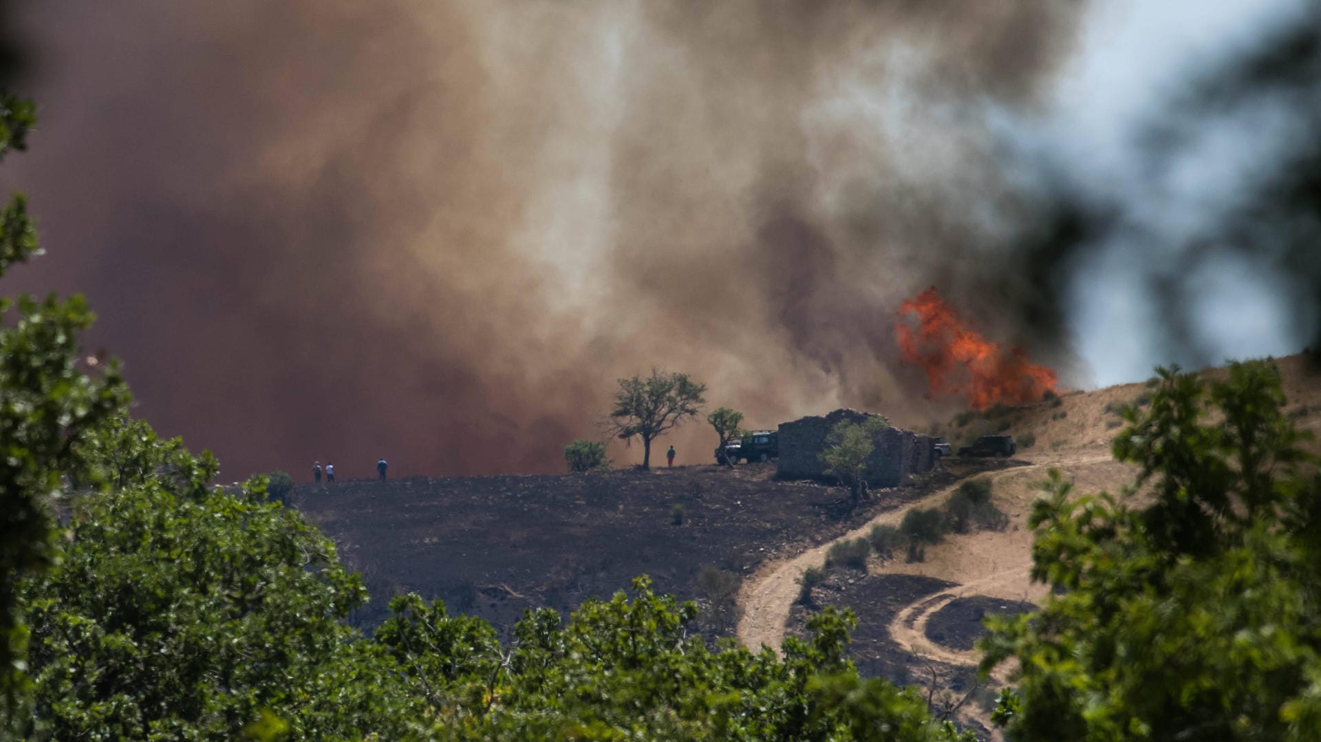 Waldbrand in Italien: Italien erlebt einen "Feuer-Sommer". Waldbrand in Italien: Italien erlebt einen "Feuer-Sommer".