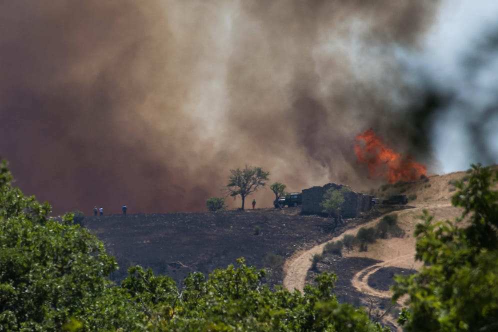Waldbrand in Italien: Italien erlebt einen "Feuer-Sommer".