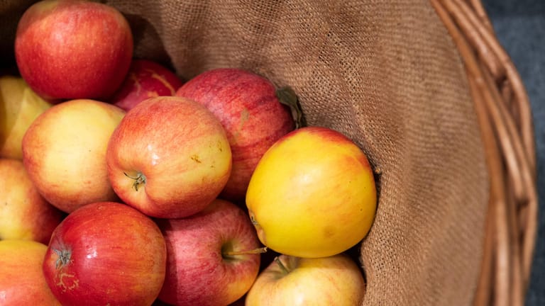 Äpfel: Bei falscher Lagerung werden die gesunden Snacks mehlig und verlieren an Geschmack.