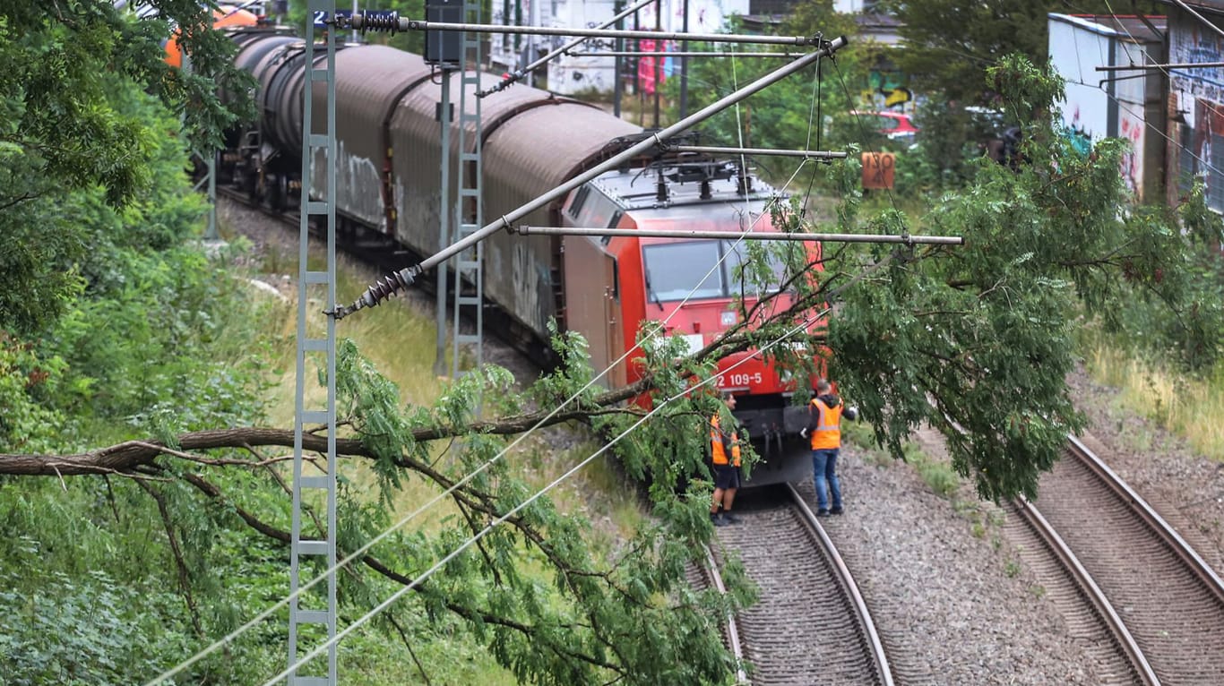 Umgestürzter Baum auf den Gleisen bei Ennepetal: In Nordrhein-Westfalen hat Sturmtief "Kirsten" am Mittwochmorgen den Zugverkehr durcheinander gebracht.