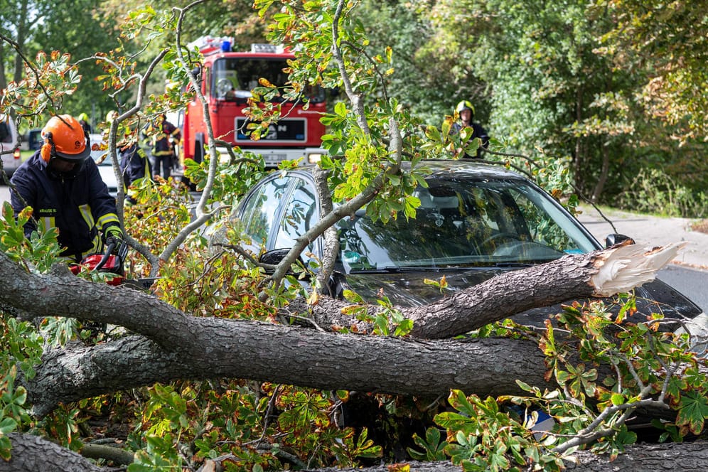 Eine Kastanie fiel in Rochlitz in Sachsen auf ein Auto: Den noch voll belaubten Bäumen wurde der Sturm besonders gefährlich.