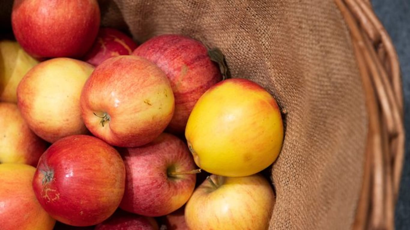 Äpfel mögen es kühl und dunkel - am besten lagern Sie die Früchte im Keller oder im Kühlschrank.