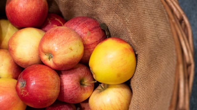 Äpfel mögen es kühl und dunkel - am besten lagern Sie die Früchte im Keller oder im Kühlschrank.