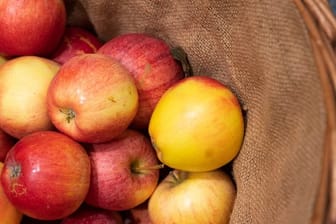 Äpfel mögen es kühl und dunkel - am besten lagern Sie die Früchte im Keller oder im Kühlschrank.