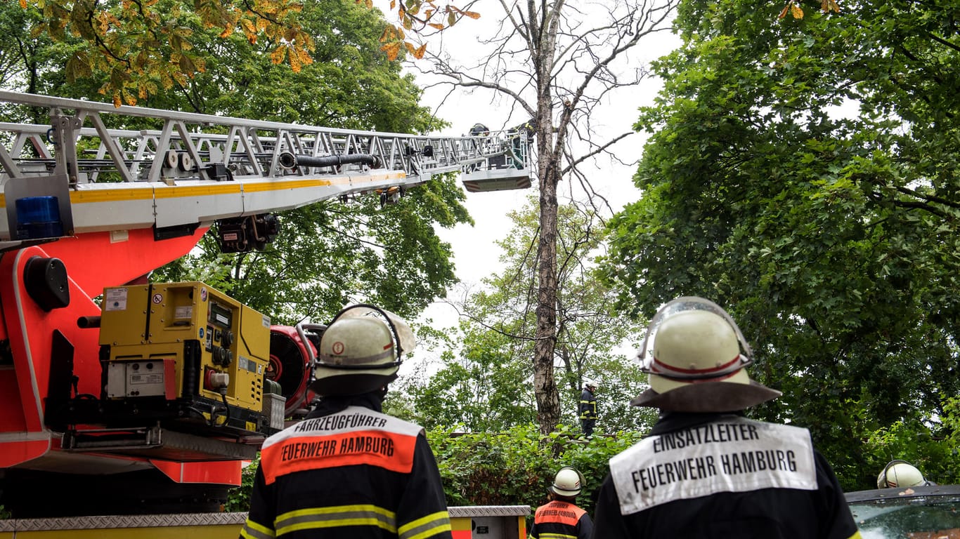 Feuerwehrleute sägen im Stadtteil Winterhude nahe dem U-Bahnhof Lattenkamp Äste von einem Baum ab, der auf die Bahngleise zu stürzen drohte: Im Hamburg musste die Feuerwehr nach eigenen Angaben 30 Mal ausrücken.