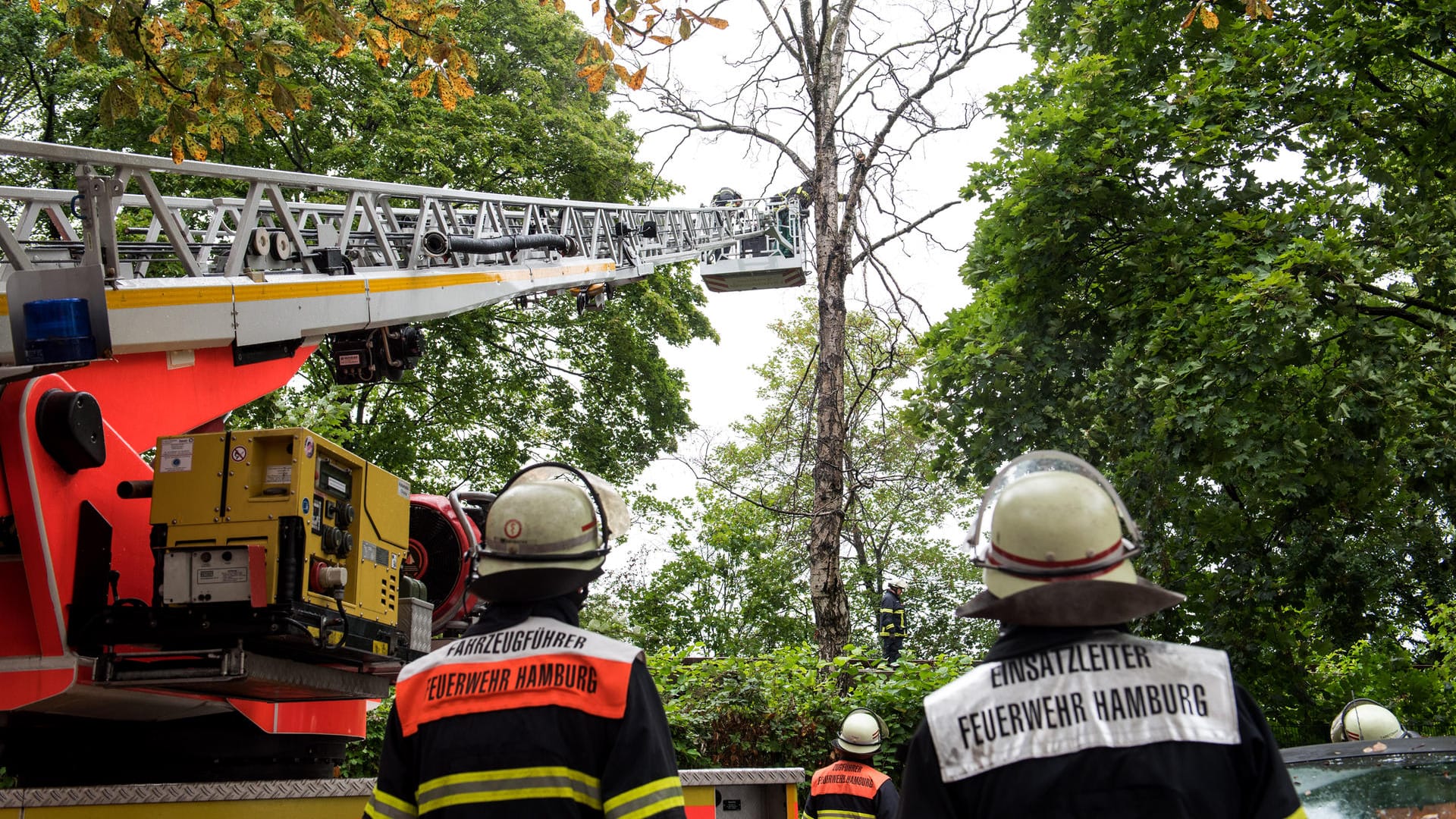 Feuerwehrleute sägen im Stadtteil Winterhude nahe dem U-Bahnhof Lattenkamp Äste von einem Baum ab, der auf die Bahngleise zu stürzen drohte: Im Hamburg musste die Feuerwehr nach eigenen Angaben 30 Mal ausrücken. Feuerwehrleute sägen im Stadtteil Winterhude nahe dem U-Bahnhof Lattenkamp Äste von einem Baum ab, der auf die Bahngleise zu stürzen drohte: Im Hamburg musste die Feuerwehr nach eigenen Angaben 30 Mal ausrücken.