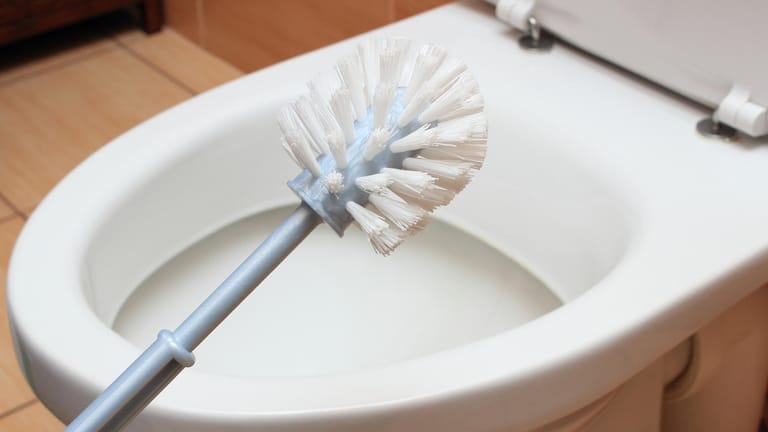 Toilettenbürste: In den Borsten können sich schnell Krankheitserreger ansammeln.