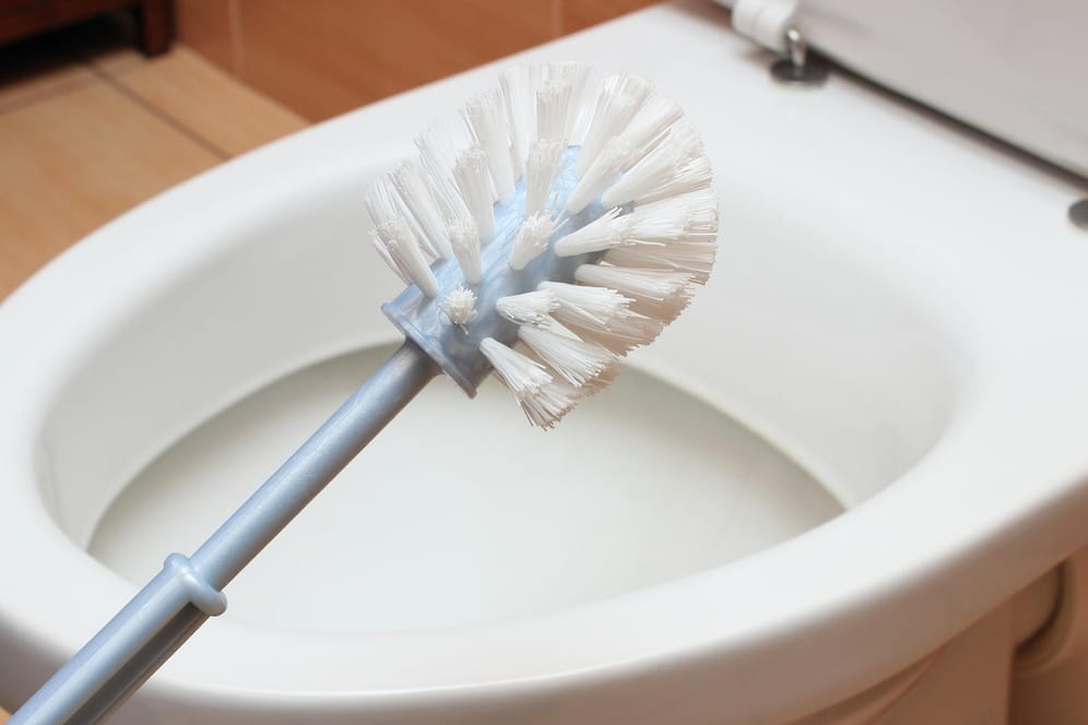 Toilettenbürste: In den Borsten können sich schnell Krankheitserreger ansammeln.