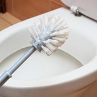 Toilettenbürste: In den Borsten können sich schnell Krankheitserreger ansammeln.