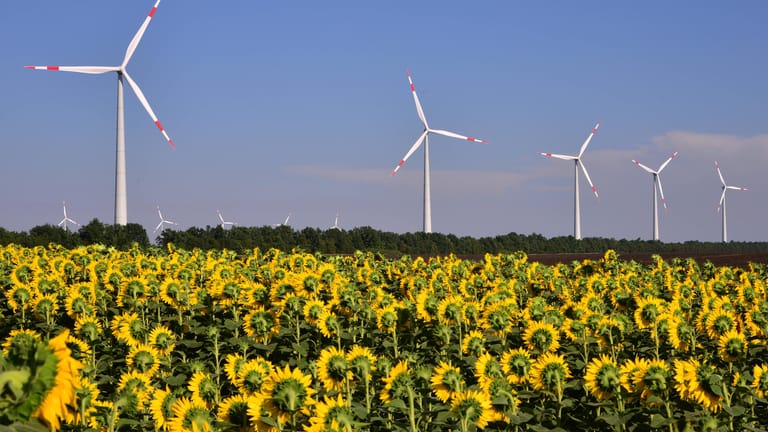 Sonnenblumen vor Windrädern: Erneuerbare Energien sind essentiell zum Kampf gegen die Klimakrise.