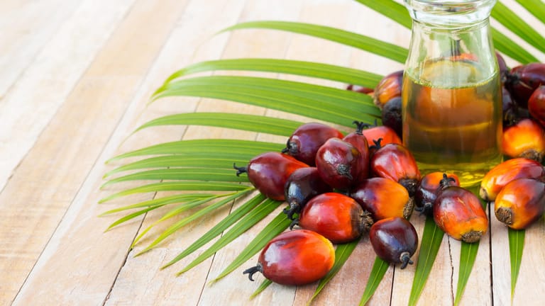 Beliebt auf Zutatenlisten: Palmöl ist in vielen Lebensmitteln enthalten.