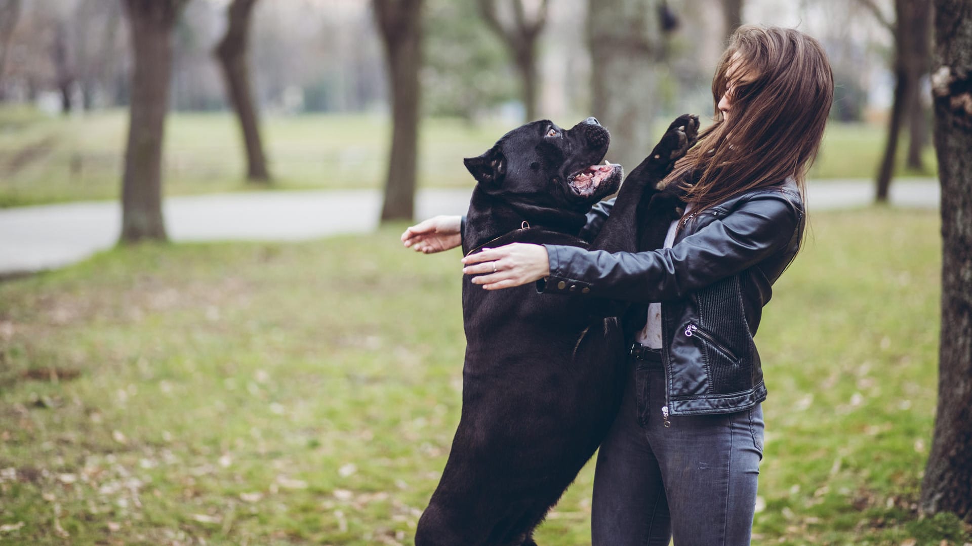 Hund: Manchmal kann die Begrüßung ganz schön stürmisch ausfallen.